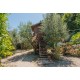 Properties for Sale_PRESTIGIOUS RENOVATED FARMHOUSE FOR SALE IN MASSIGNANO restored farmhouse in the Marche in Italy in Le Marche_36